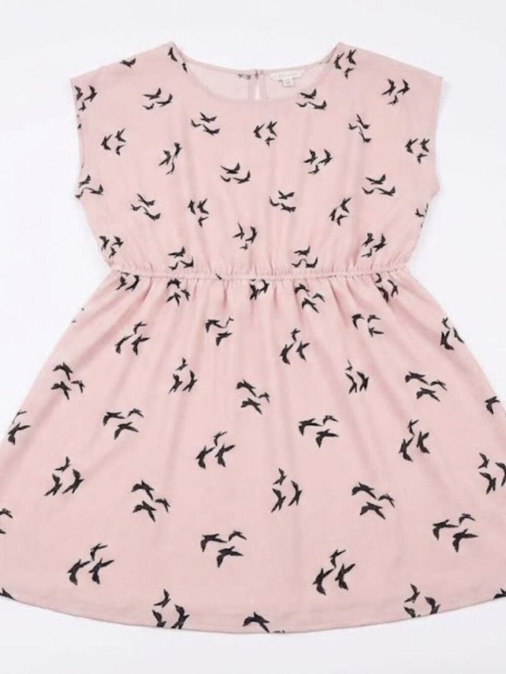 Romantic Pink Bird Pattern Fit and Flare Mini Dress 3XL